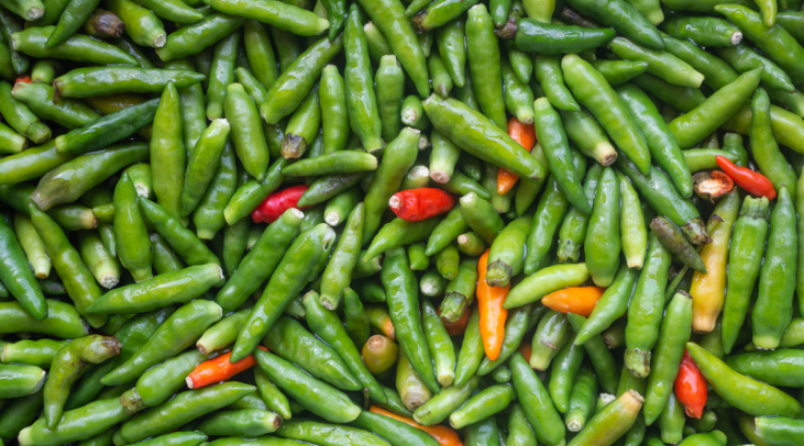 The Green Chilli Supply Chain: From Indian Farms to Global Dishes