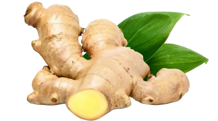 A Global Demand for Indian Ginger: Meeting Quality with Quantity