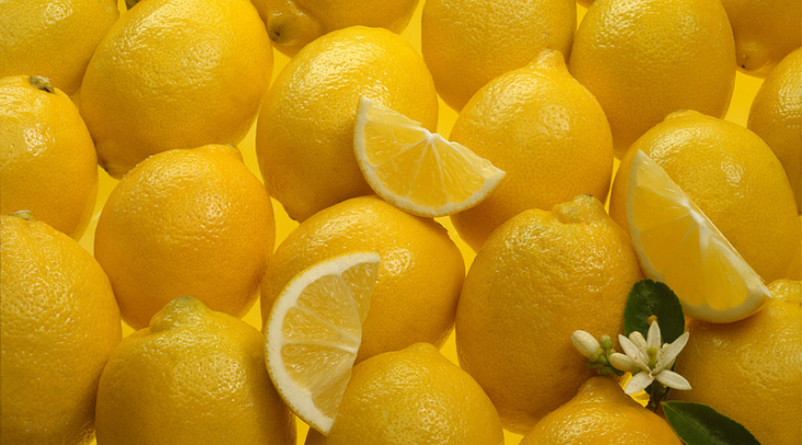 High-Quality Indian Lemons: A Versatile Export in Food and Beverage Industries