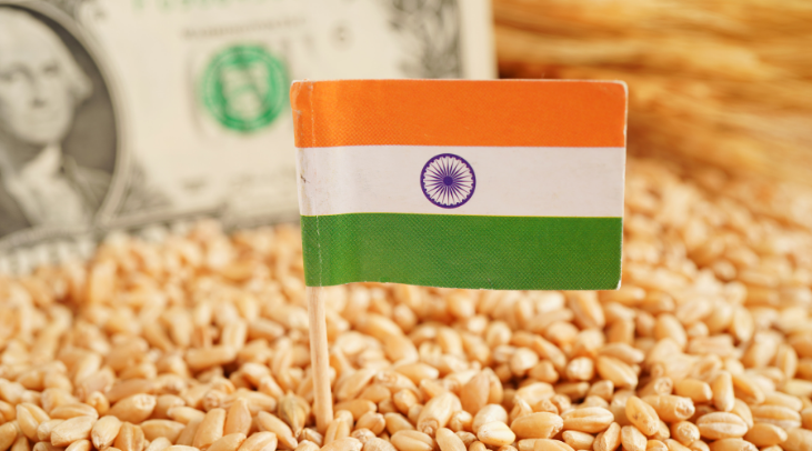 How Quality Assurance Enhances Trust in Indian Agricultural Exports